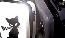 blackcat 在线观看,在线观看的悬疑惊悚之旅